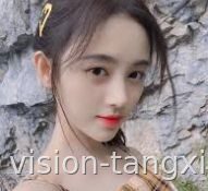 旗舰咨询系统